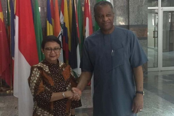 Kerja Sama Ekonomi Indonesia-Nigeria Saling Melengkapi