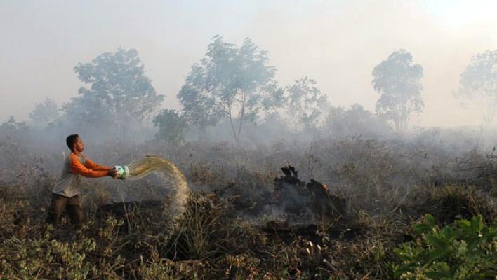 Sumber Gambar : Tabloid Desa