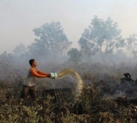 Izinkan bakar lahan, Pansus Ranperda Karhutla DPRD Riau ini Rencana ketentuannya 