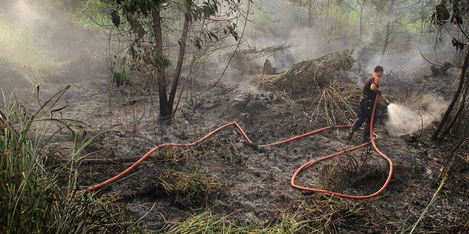 Tiga tersangka dtetapkan Polda Riau pasca kebakaran lahan di Pekanbaru