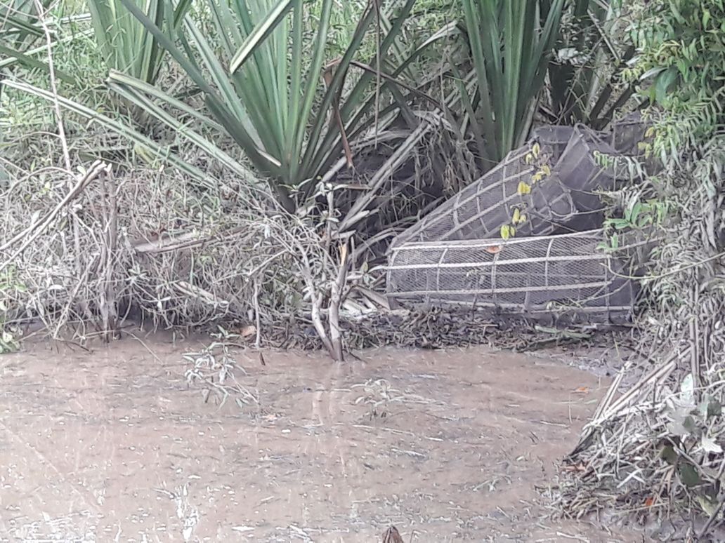 Terkait Pencucian Sungai, Kades Pesaguan : Saya hanya Tanda Tangan, tak ada terima uang Kompensasi Kondisi Sungai Napuh di desa Pesaguan yang telah di cuci oleh PT Musimmas