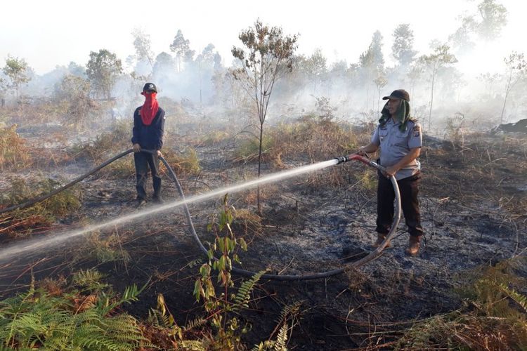 Tokoh Mahasiswa Pelalawan menyayangkan kebakaran lahan yang di duga milik PT Arara Abadi Sumber Foto : Kompas.com