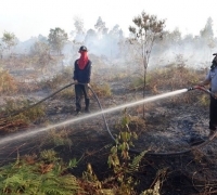 Tokoh Mahasiswa Pelalawan menyayangkan kebakaran lahan yang di duga milik PT Arara Abadi