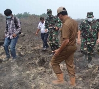 Pemerintah Kabupaten Rohil Antisipasi Terjadinya Kembali Kebakaran Lahan dan Hutan