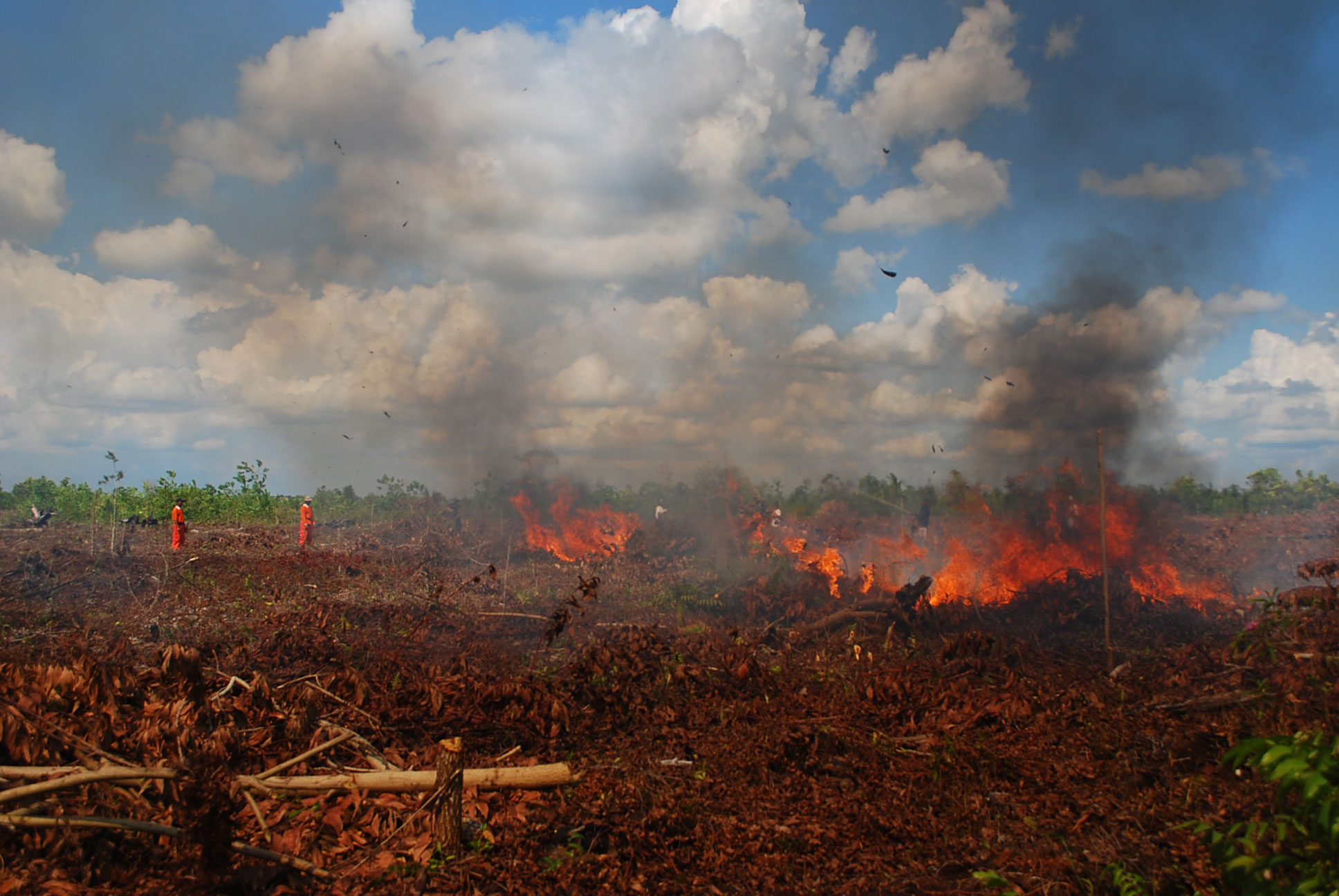 Luasan Lahan Terbakar di Bengkalis Riau Mendekati Angka 1.000 Hektar