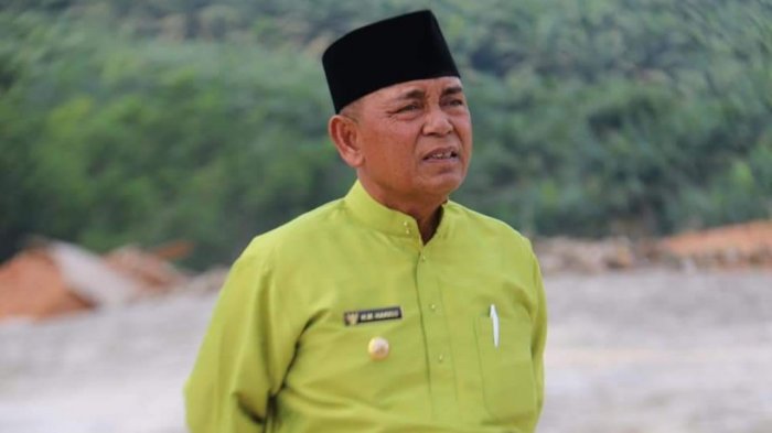 Bupati Pelalawan Ceritakan Pengalamannya jadi Petani Sayur dan Semangka