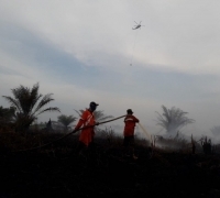 Sudah Lima Hari Lahan Sawit Perusahaan di Siak Terbakar