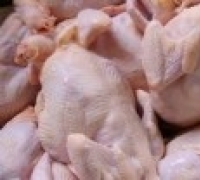 Harga Daging Ayam di Pekanbaru Naik Hingga Rp28 Ribu per Kilogram