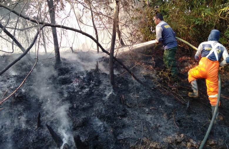 Lahan Terbakar di Langgam Telah Padam, Tim Masih Melakukan Pendinginan
