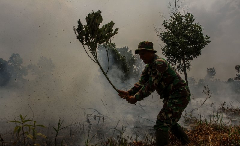Regu Pemadam Karhutla Dumai Pendinginan Tiga Lokasi, begini penjelasannya