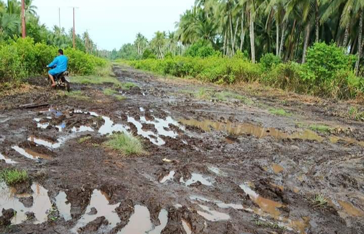 Tunas Muda Pelalawan minta Pemprov Riau serius bangun Jalan Lintas Bono Kondisi jalan Lintas Bono terkini sangat memperihatinkan