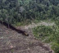 Dilaporkan Ada 150 Ribu Hektare Lahan Gambut di Pelalawan Dieksploitasi, DPRD Riau akan Panggil DHL dan Instansi Terkait