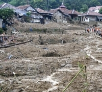 Vetiver Dipilih Jokowi untuk Atasi Bencana Longsor, Ini Alasannya