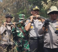 Tujuh Hektar Lahan di Siak Terbakar