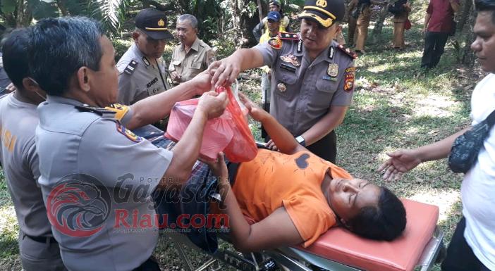 Miris, Pengemis Melahirkan di Hutan Samping Gedung LAM Pekanbaru, Bayinya Meninggal Dunia