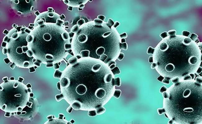Mengejutkan 2 WNI Positif terjangkit Virus Corona
