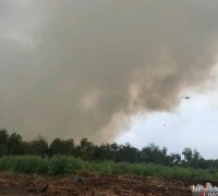  Karhutla di Riau Capai 468 Ha, 6 Petani Ditangkap Kepolisian