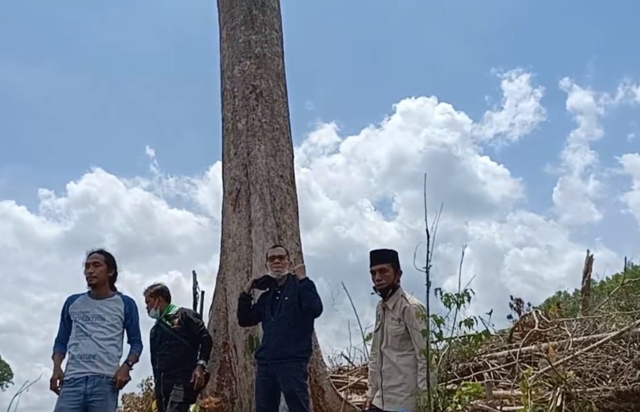 Berang ke PT AA di Lokasi Kepungan Sialang, LAMR: Mereka Berusaha Adu Domba, Viralkan! Tim Lembaga Adat Melayu Riau (LAMR) Kabupaten Pelalawan di lokasi Kepungan Sialang (Istimewa)