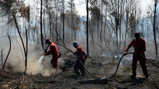 Sebut Karhutla Pengalih Isu Narkoba, Wagubri: Perketat Razia! Istimewa