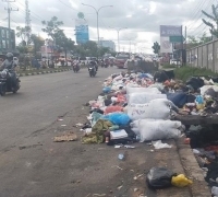 Agus Pramono Dinonaktifkan, Roni Pasla Sebut Walikota dan Kadis LHK Tak Lagi Sejalan