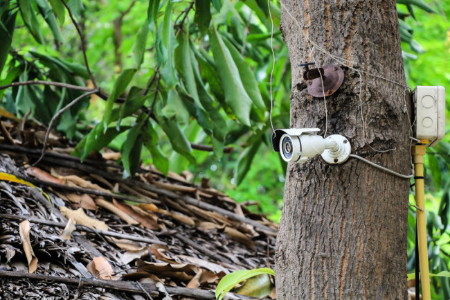 Ilustrasi (Shutter Stock/ft)