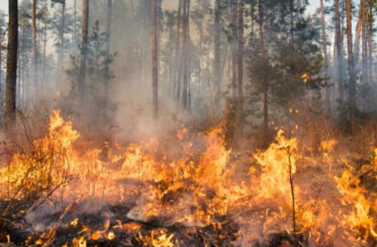 Ilustrasi (123RF.COM via Katadata.co.id)