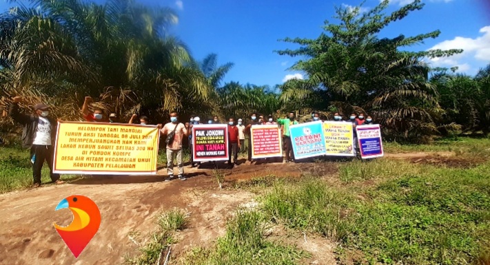 15 Tahun Di Zalimi Mafia Tanah, Kelompok Tani Mandiri Perjuangkan Lahan 300 Hektar di Pelalawan Kelompok Tani Mandiri Ketika Menggelar Aksi Unjuk Rasa