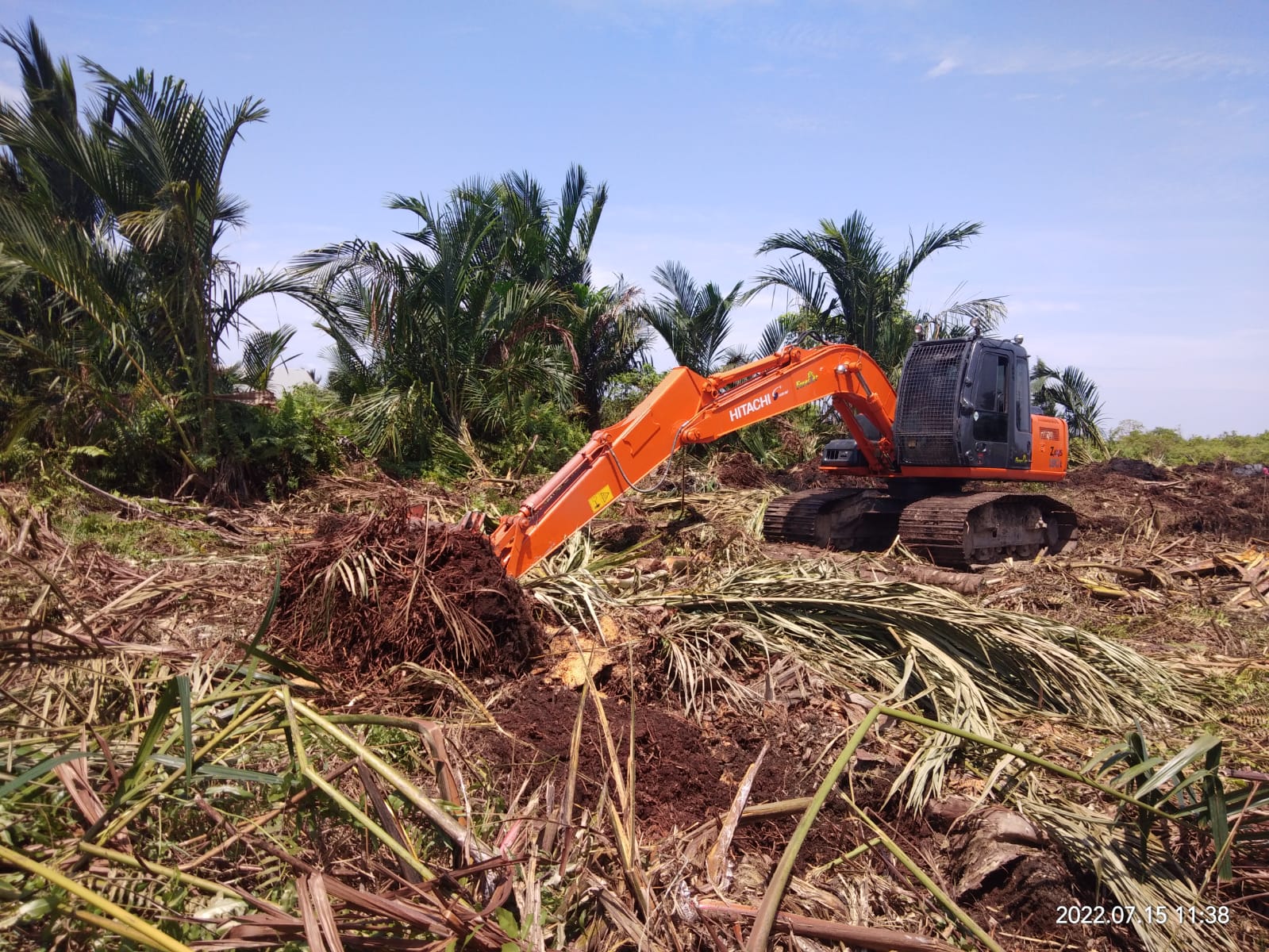 HGU Sawit PT.TUM Di Pulau Mendol Mengundang Prahara Ekologis Dan Konflik Sosial Atas Lahan