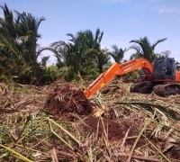 Merusak Ekosistem Gambut Di Kuala Kampar, Pakar Lingkungan Dr Elviriadi Sebut HGU PT TUM Cacat Hukum