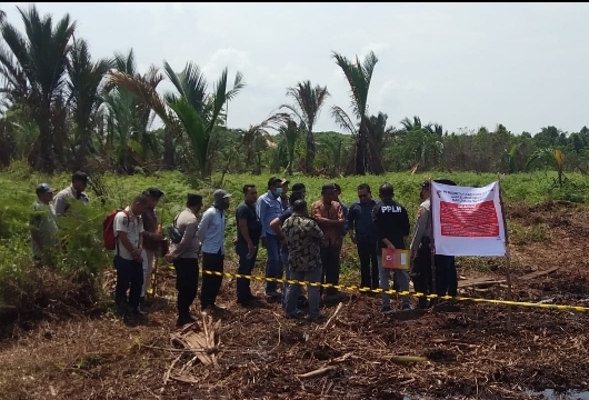 Tokoh Pemuda Pelalawan Apresiasi Pemerintah Kabupaten Pelalawan Segel Lahan PT TUM