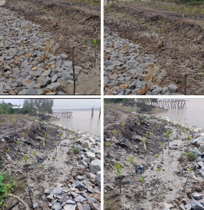 Kecewa Terhadap Pembangunan Tebing Pantai Di Kuala Kampar, AMPP Akan Gelar Aksi Foto Pembangunan Tebing Pantai Di Kuala Kampar (Dok.Istimewa)