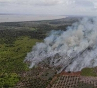 Sempat Muncul di Pelalawan, Hotspot Riau Akhir Pekan Ini Nihil