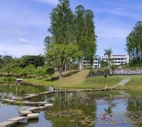 Universitas Riau Jadi Kampus Terbaik di Pekanbaru yang Raih Peringkat Asia-Dunia, Ini Daftar Prodi-nya!