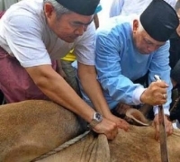 Jelang Idul Adha, Begini Syarat Patungan Hewan Kurban Agar Sah