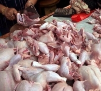 Daging Ayam Mengalami Kenaikan Harga