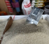 Adanya Perubahan Iklim, Jokowi Sebut Harga Beras Naik