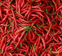 Harga Bahan Pokok Terus Naik di Pekanbaru, Berikut Penjelasannya...