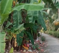 Sampah Menumpuk, Pihak UPT Dinas Kebersihan Kecamatan Kundur, Anggap Angin Lalu