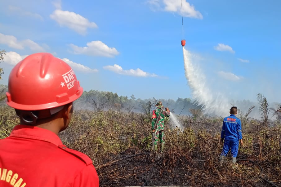 Total Luas Lahan Terbakar di Riau 19,10 Hektare, Sejak Januari-Februari
