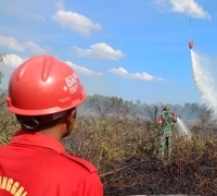 Total Luas Lahan Terbakar di Riau 19,10 Hektare, Sejak Januari-Februari