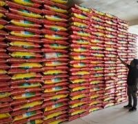 Harga Beras di Pangkalan Kerinci Pelalawan Mulai Menunjukkan Penurunan
