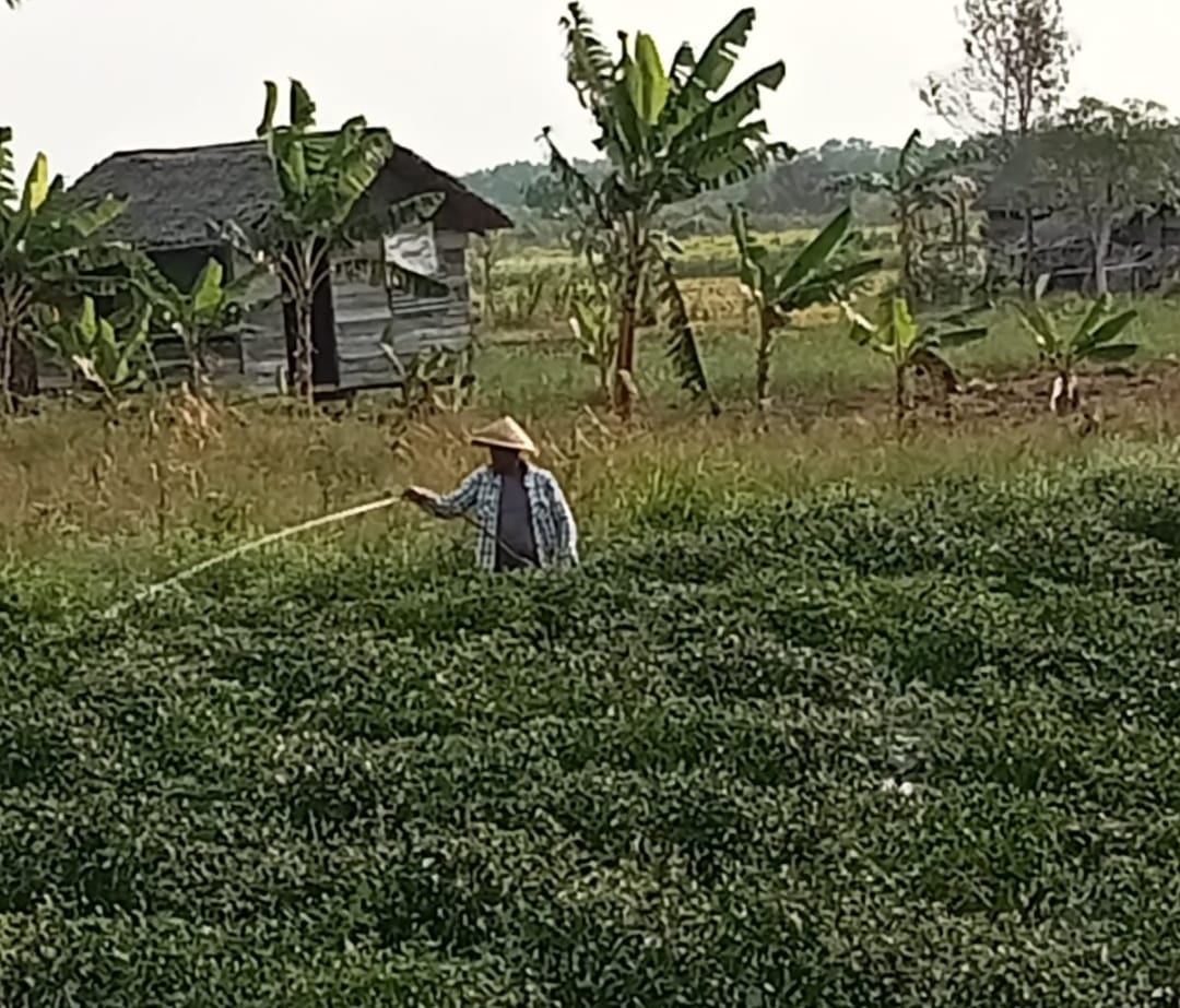 1716366137-Penyalai News-WhatsApp Image 2024-05-22 at 14 59 13