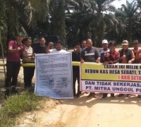 Geram, Masyarakat 3 Desa di Kecamatan Langgam Kembali Duduki Lahannya, Ancam Batalkan Kerja Sama Dengan PT MUP 