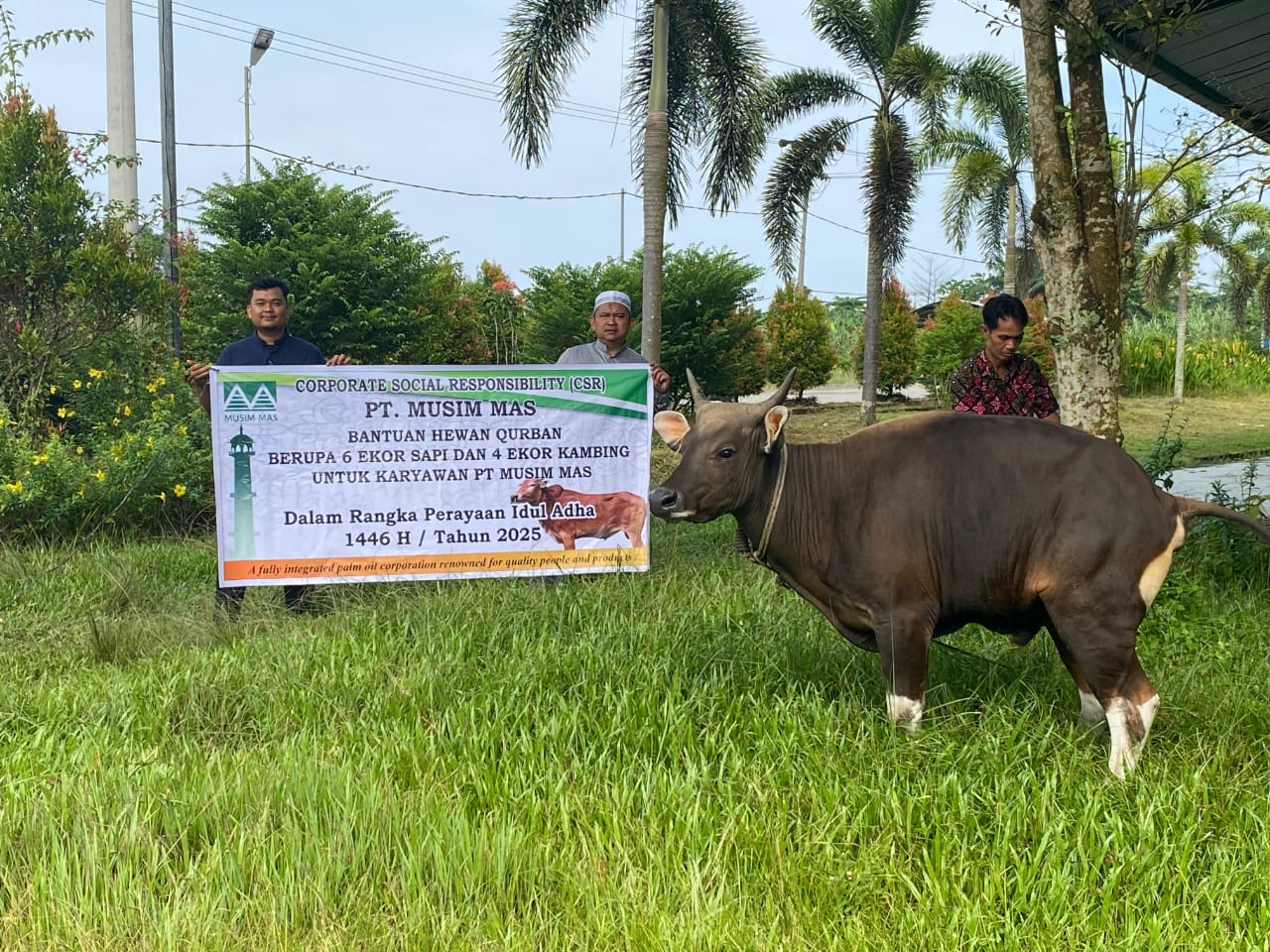 Berbagi Kebahagiaan Di Hari Raya Idul Adha, PT Musim Mas Salurkan Hewan Qurban Untuk Masyarakat Dan Pekerja