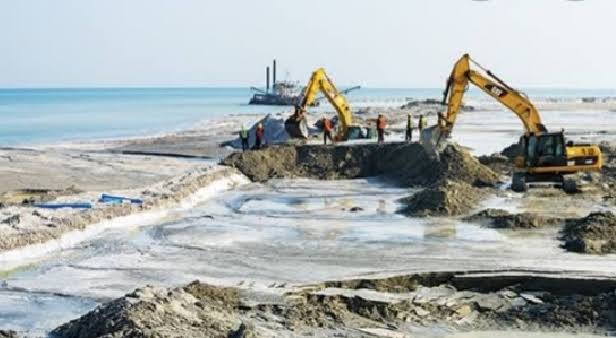 Ilustrasi (Mongabay)