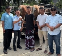 Sambut Idul Adha 1447 H, Koptan Kampar Jaya dan PT Agrinas Palma Nusantara Bagikan Hewan Kurban 